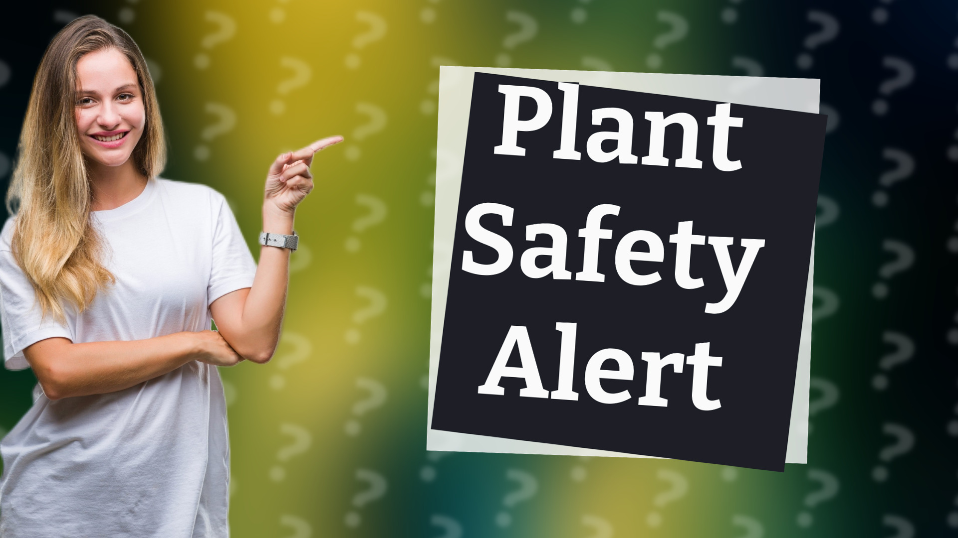 Plant Safety Alert