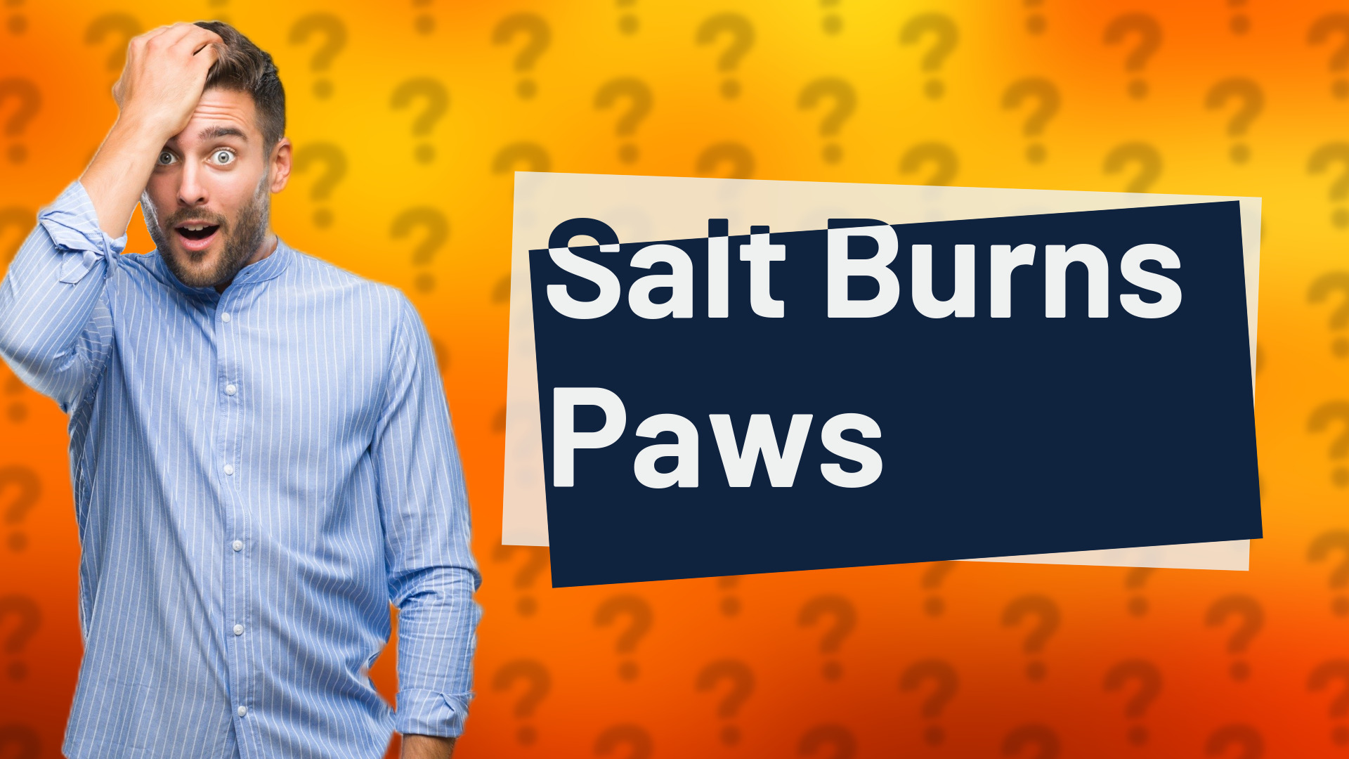 Salt Burns Paws