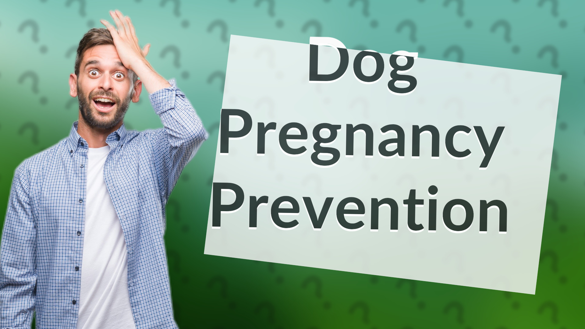 Dog Pregnancy Prevention