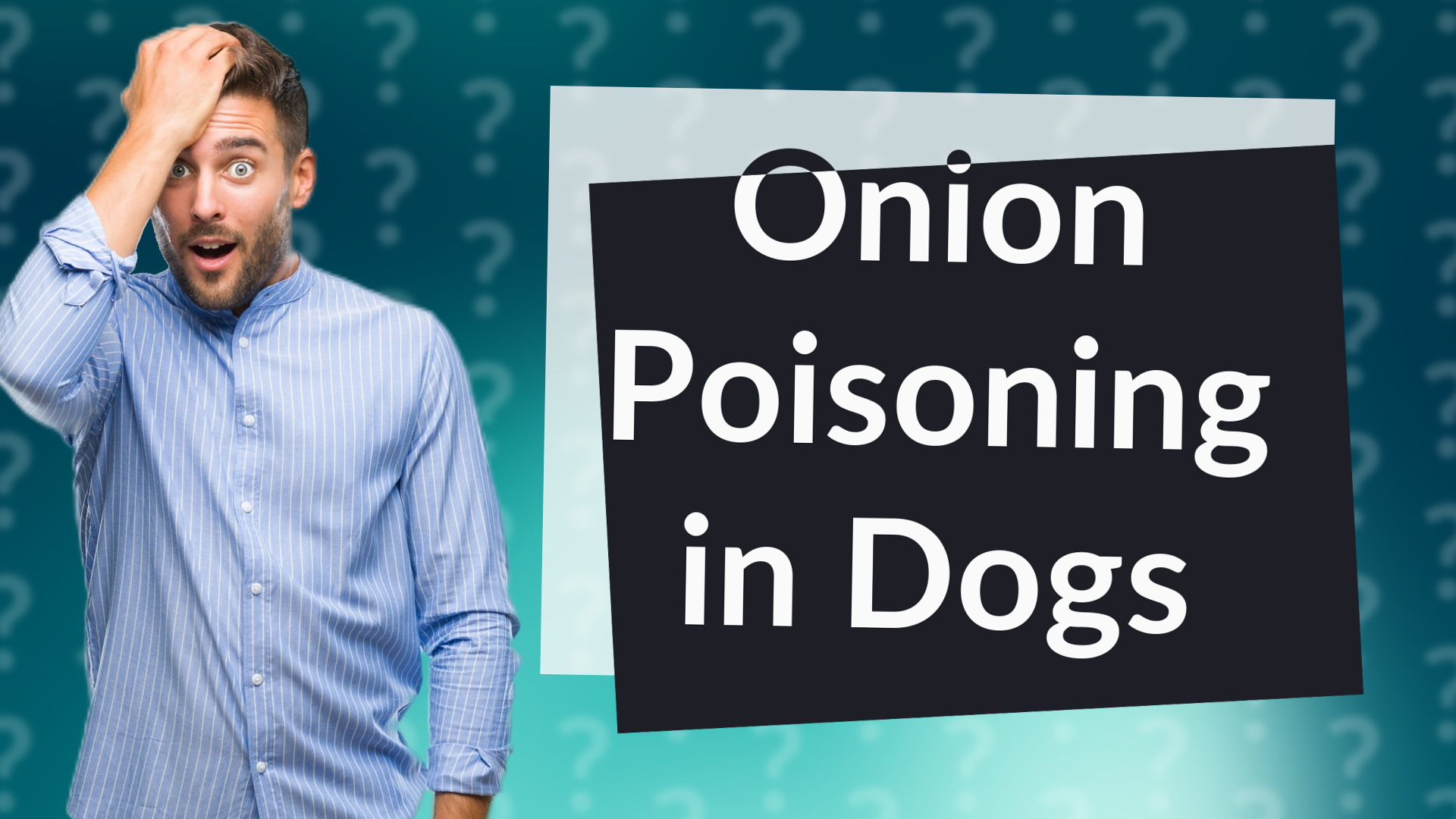 Onion Poisoning in Dogs