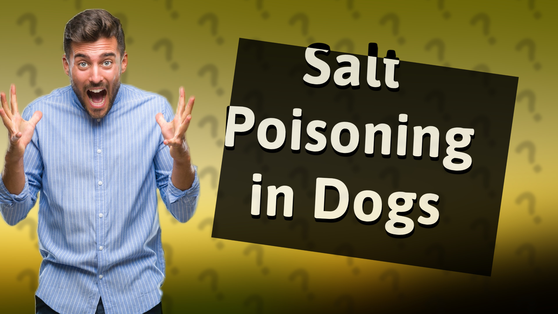 Salt Poisoning in Dogs