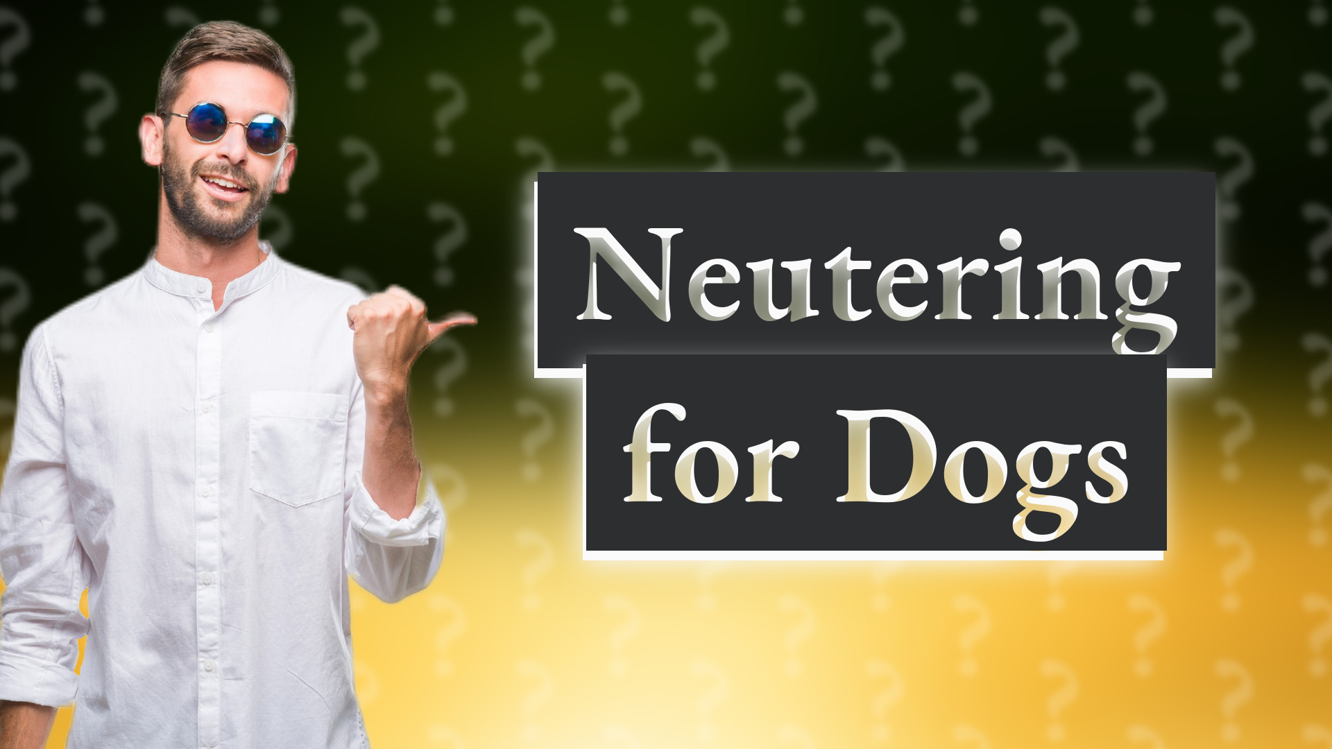 Neutering for Dogs