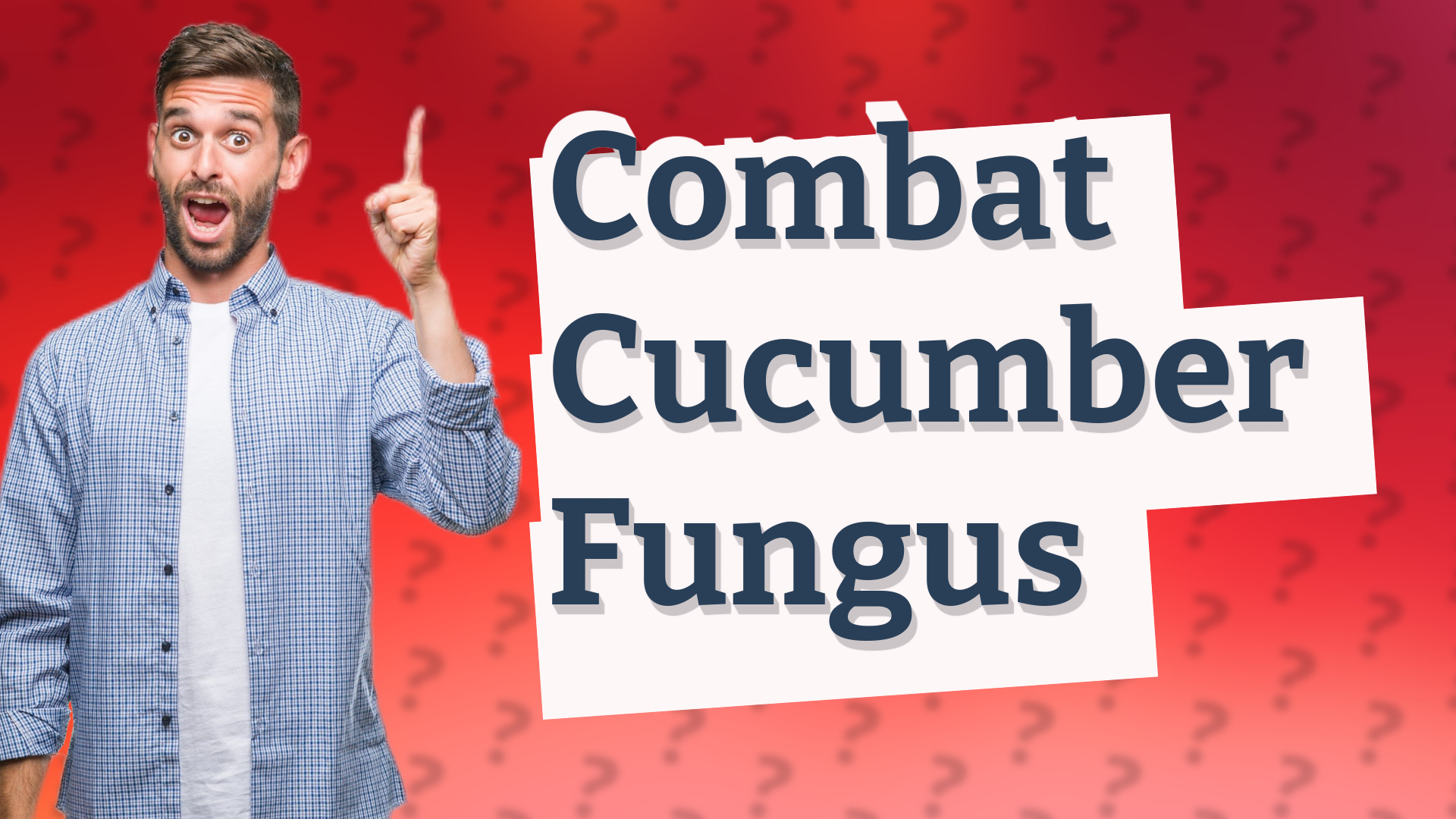 Combat Cucumber Fungus
