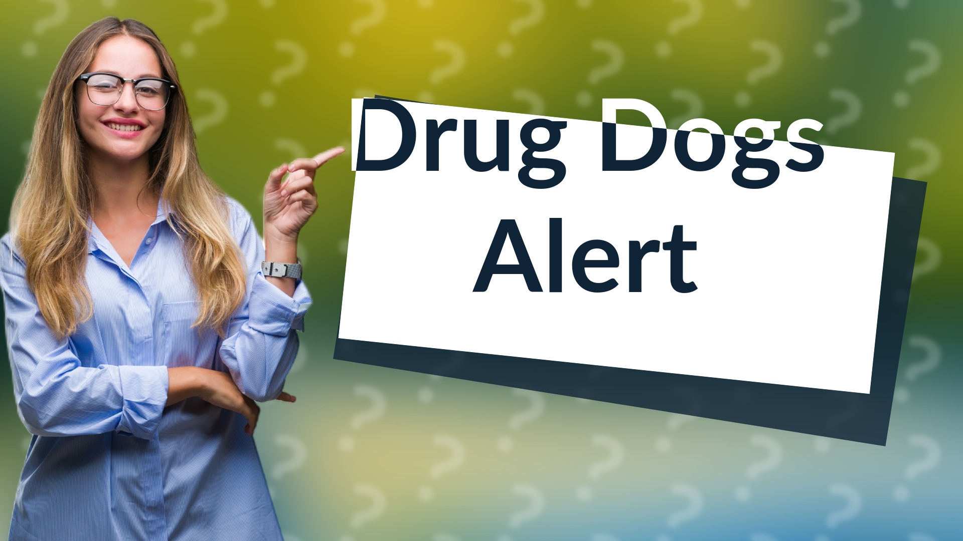 Drug Dogs Alert