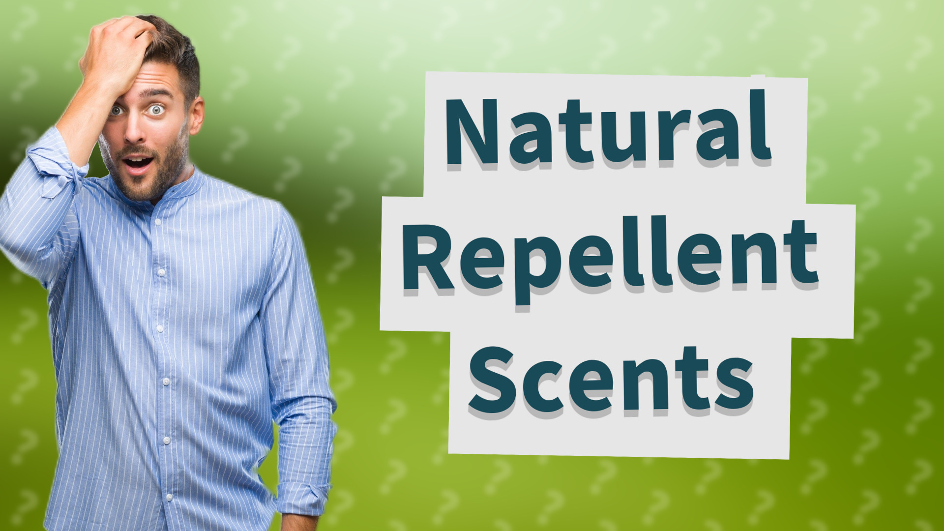 Natural Repellent Scents