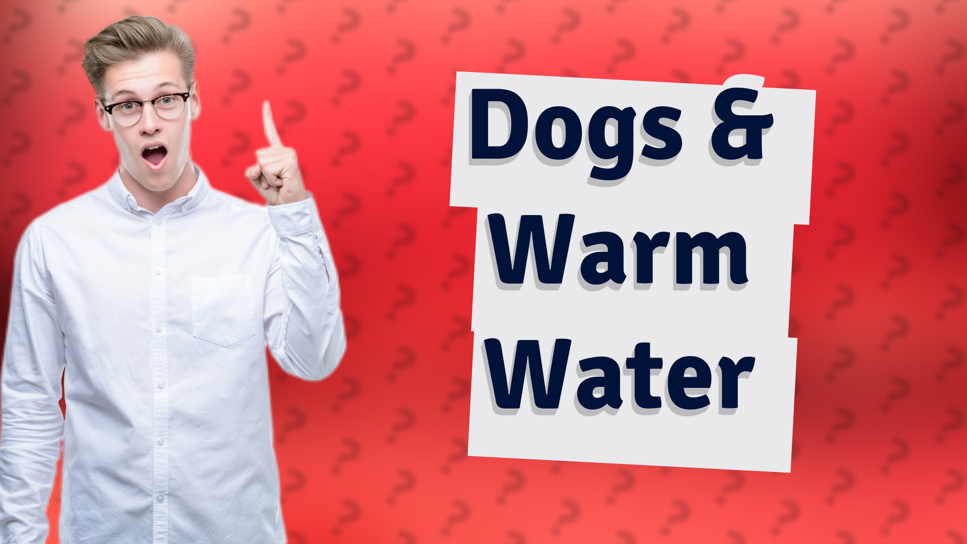 Dogs & Warm Water