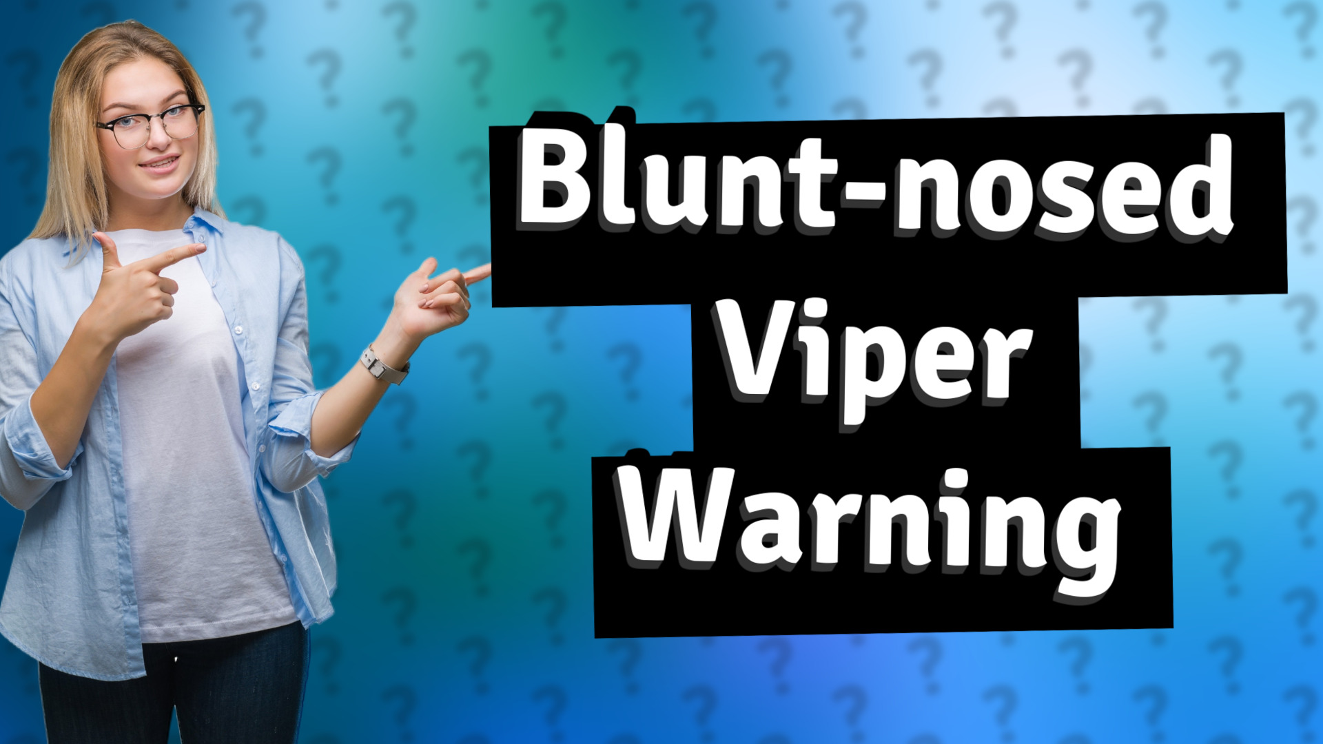Blunt-nosed Viper Warning