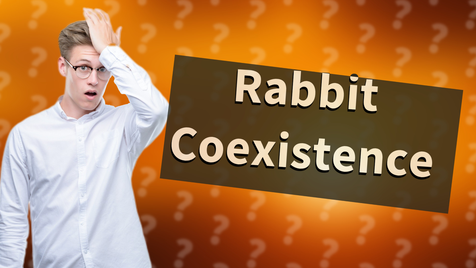 Rabbit Coexistence