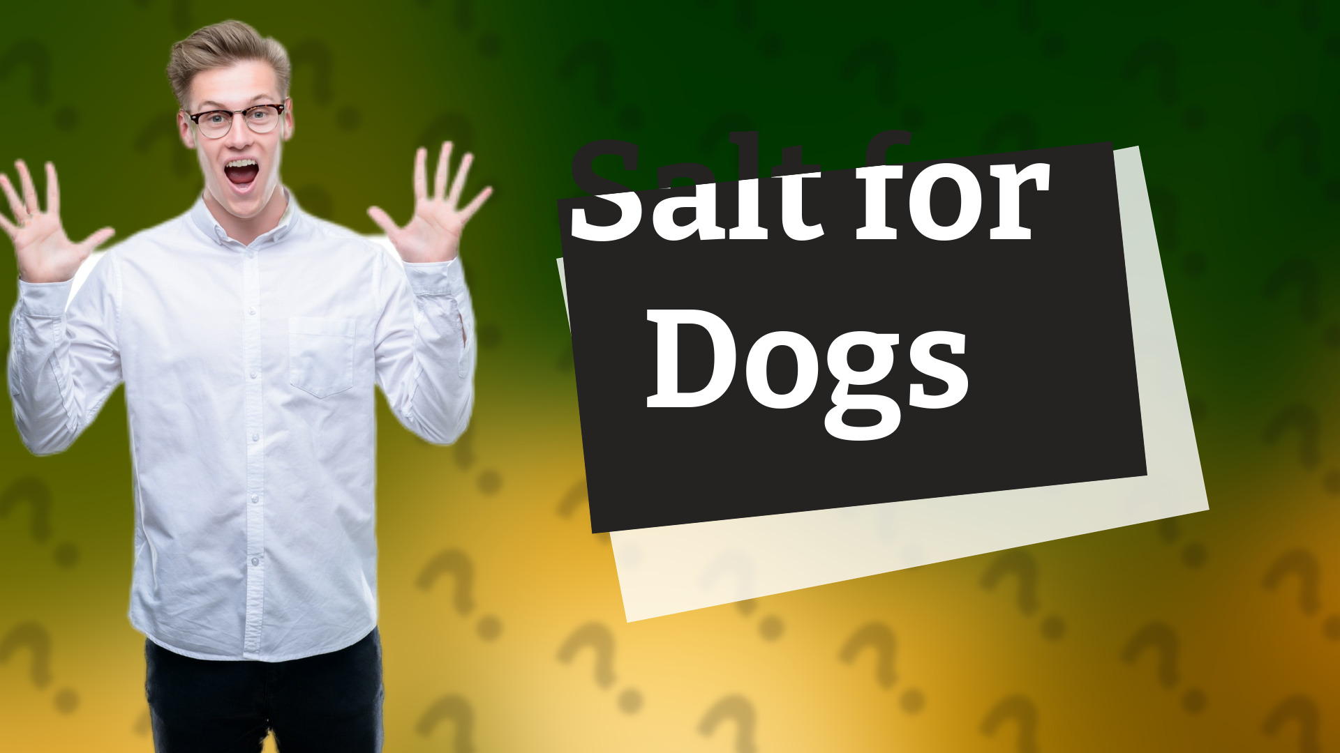 Salt for Dogs