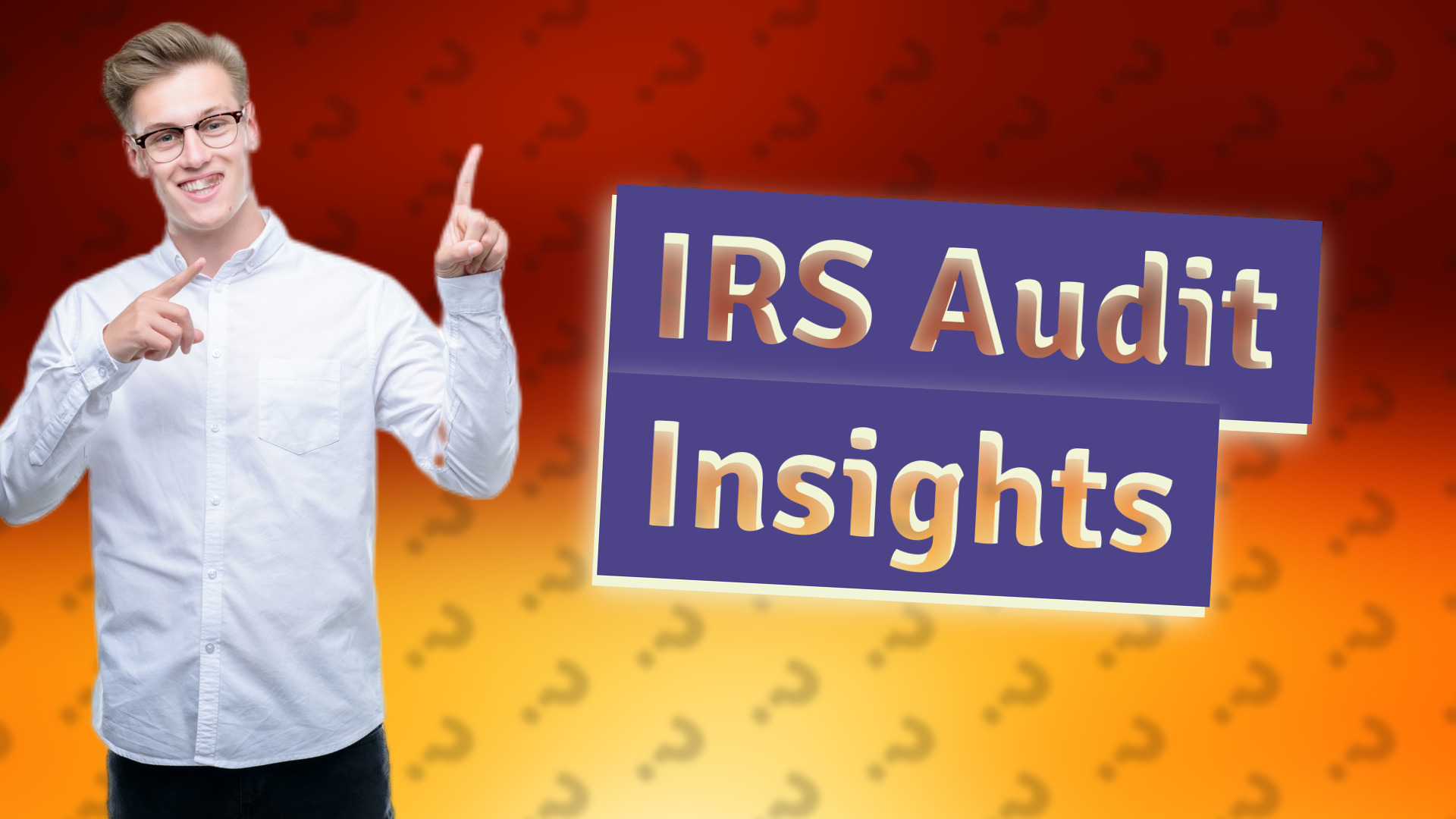 IRS Audit Insights