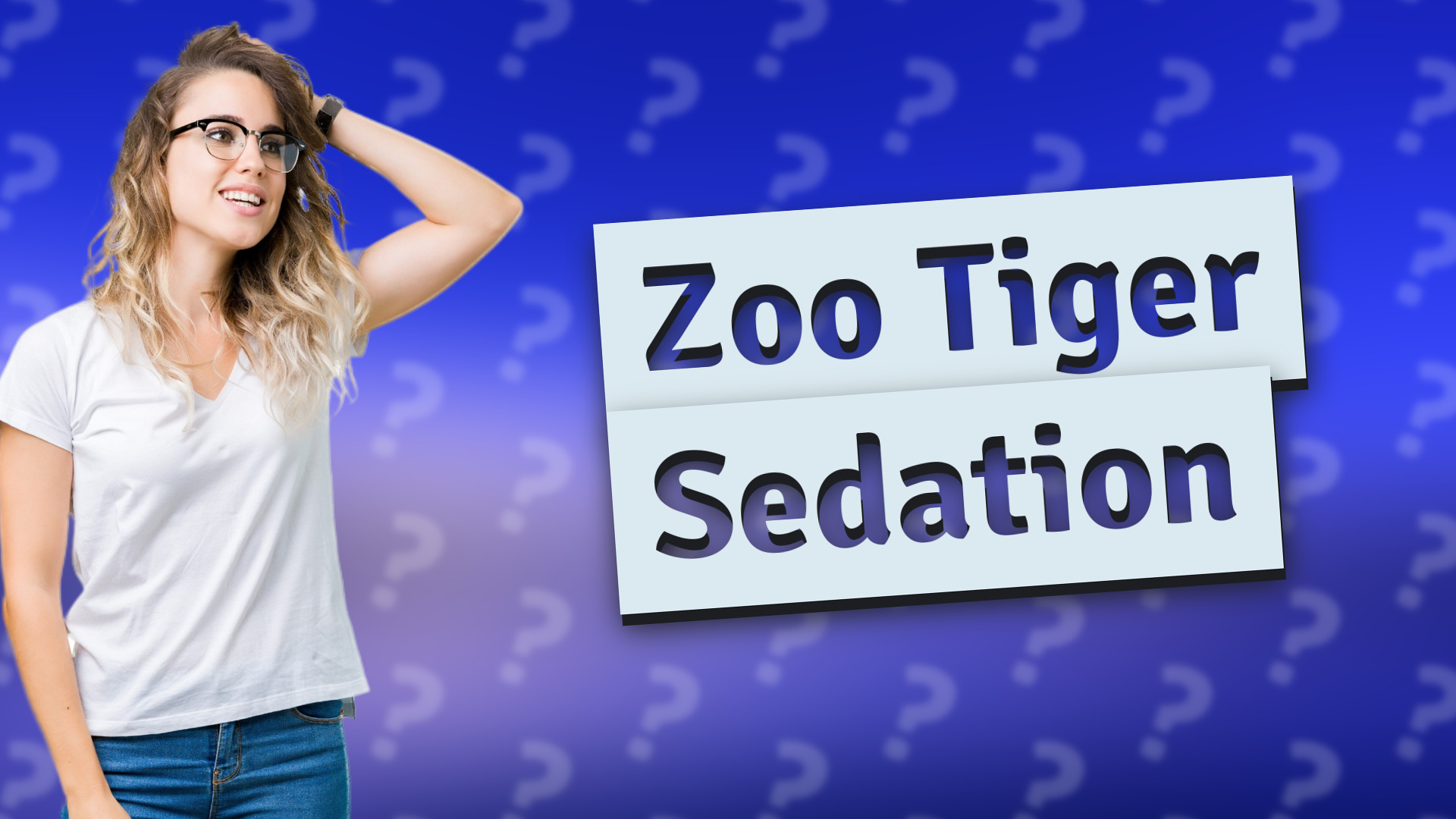 Zoo Tiger Sedation