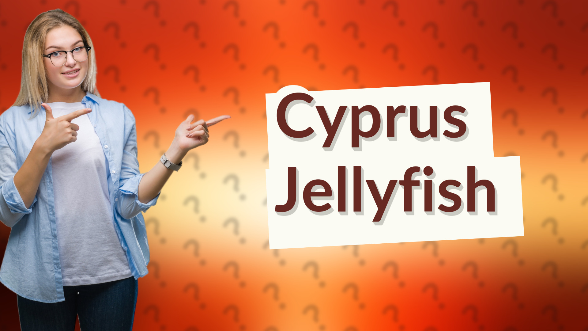 Cyprus Jellyfish