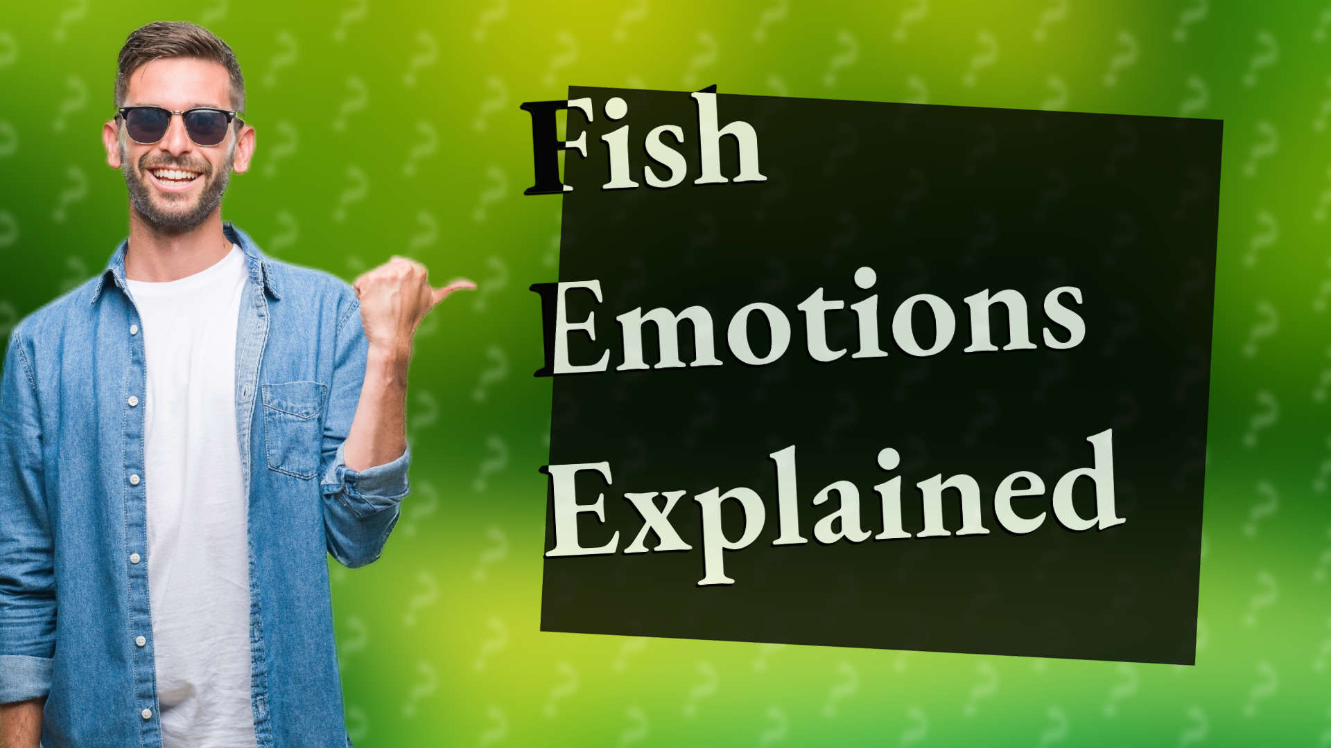 Fish Emotions Explained