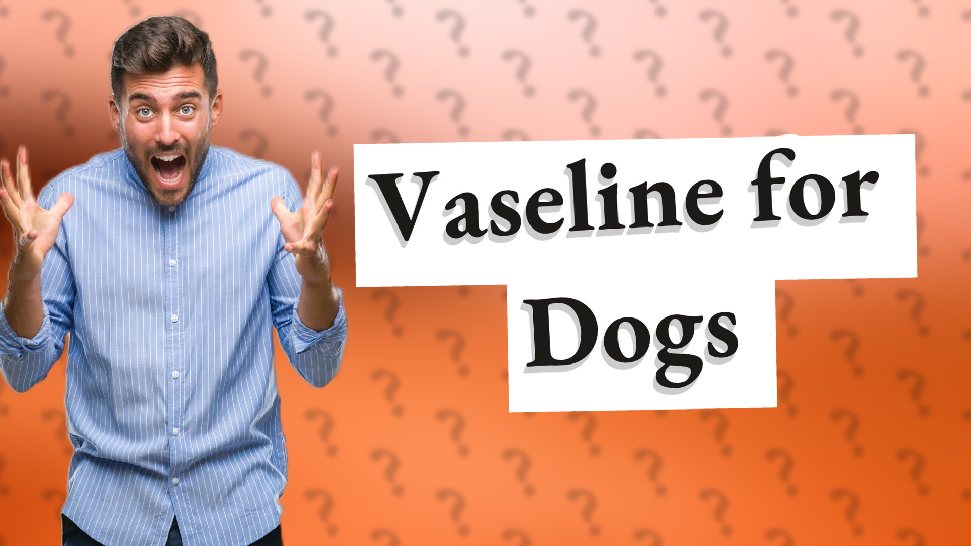 Vaseline for Dogs