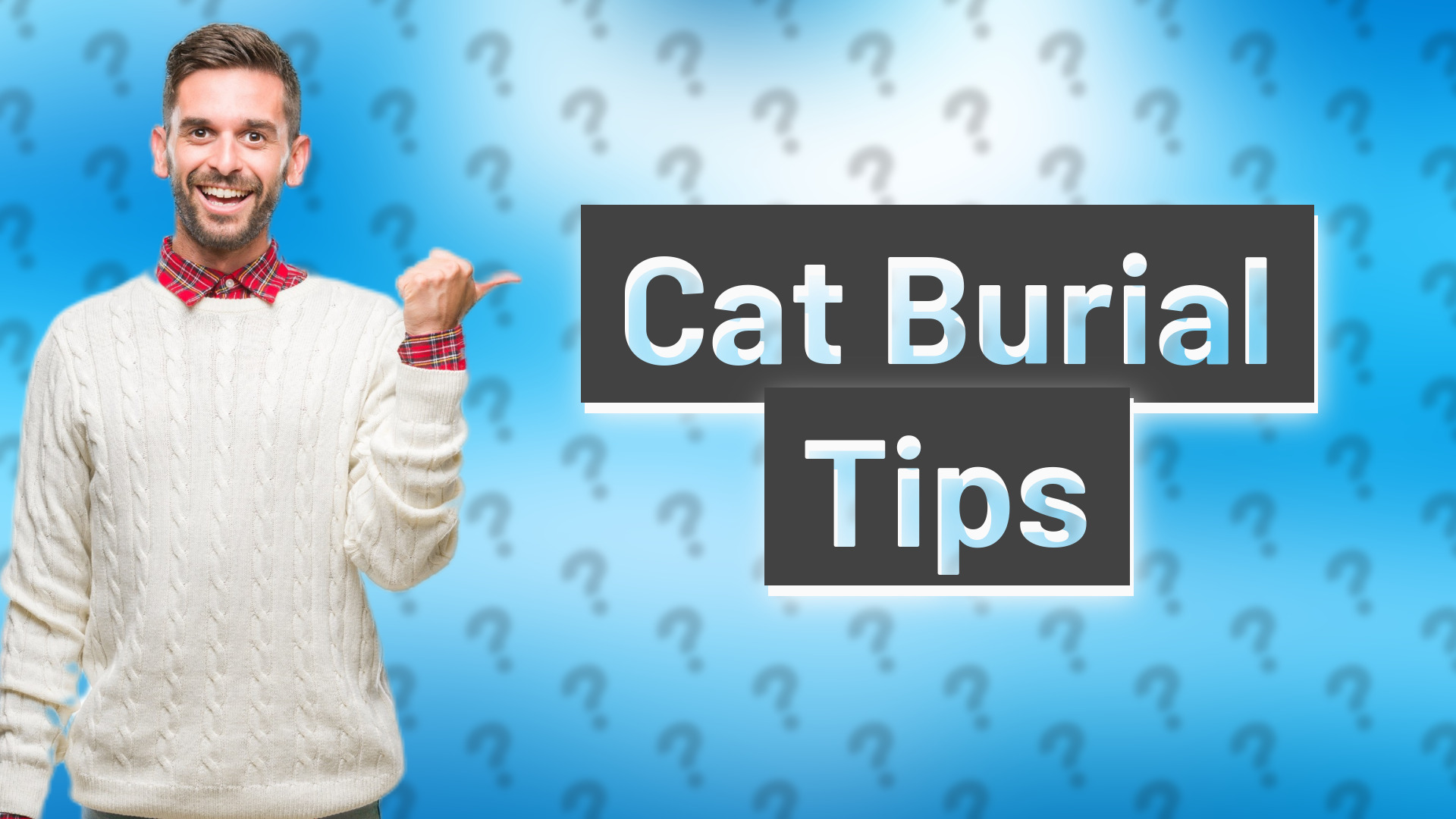 Cat Burial Tips