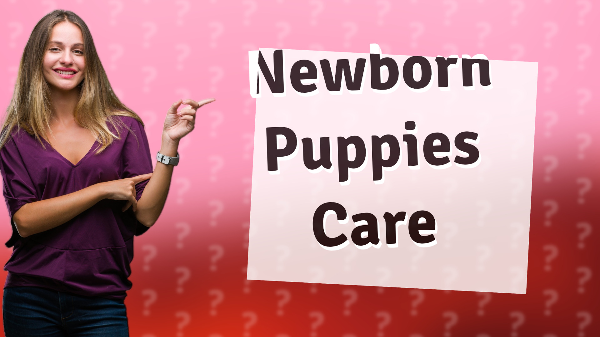 Newborn Puppies Care