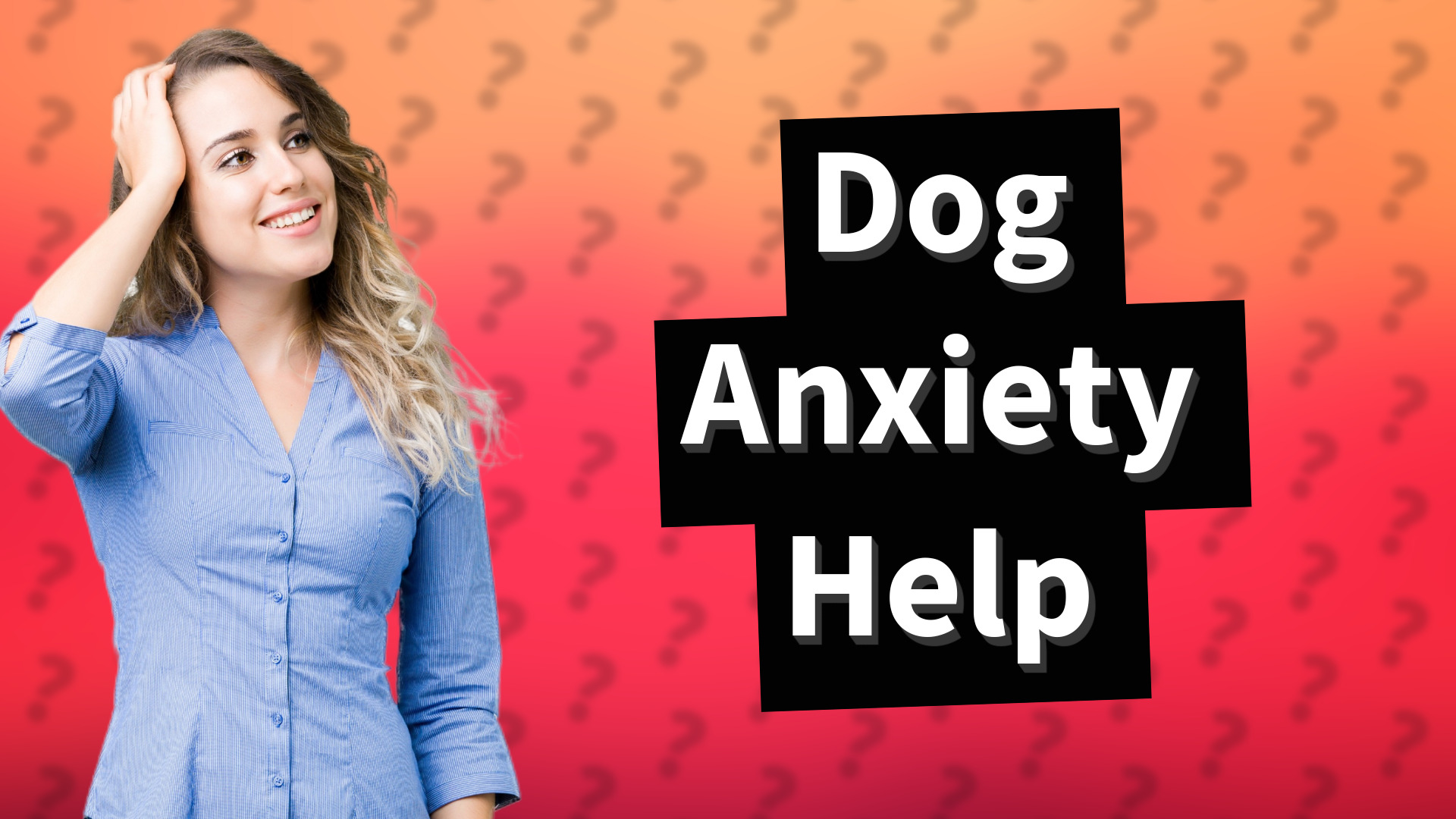 Dog Anxiety Help