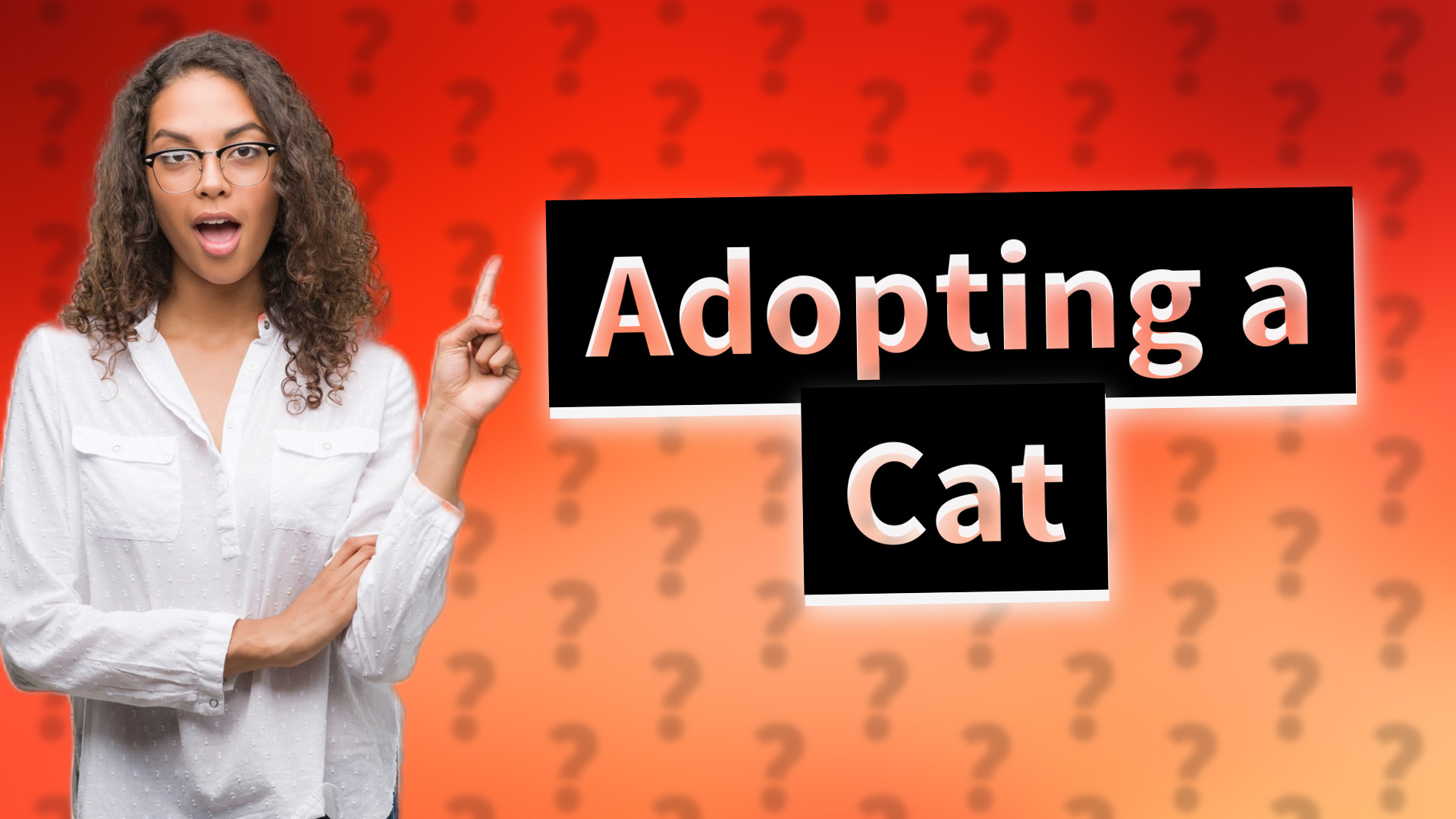 Adopting a Cat