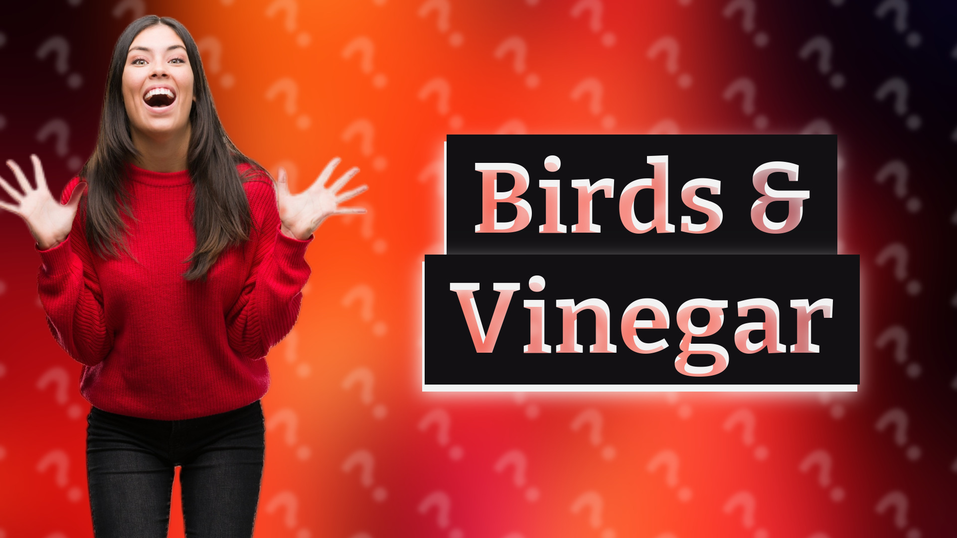 Birds & Vinegar