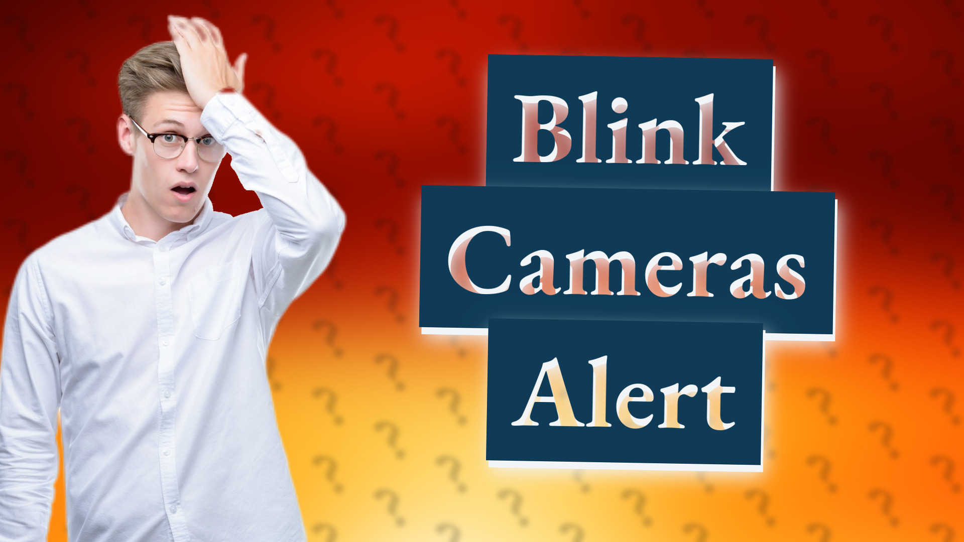 Blink Cameras Alert