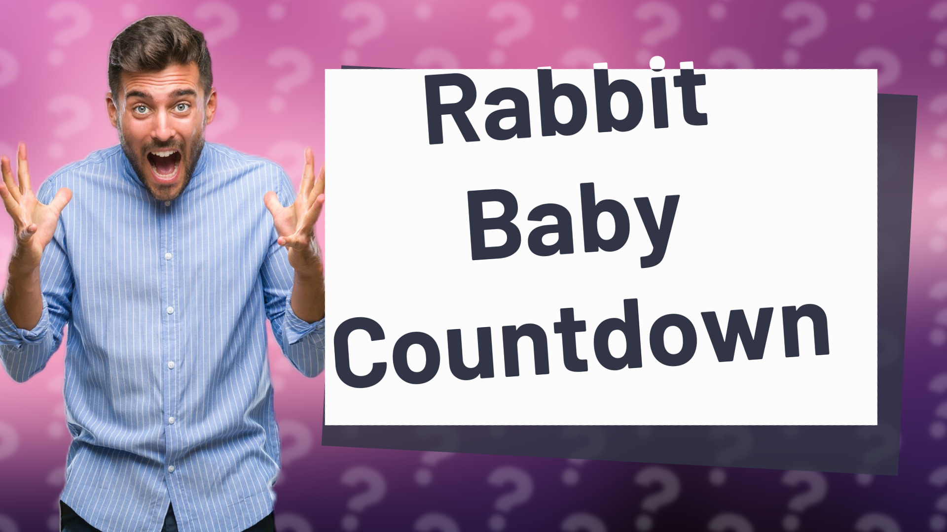 Rabbit Baby Countdown