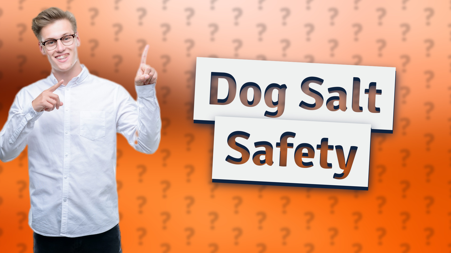 Dog Salt Safety