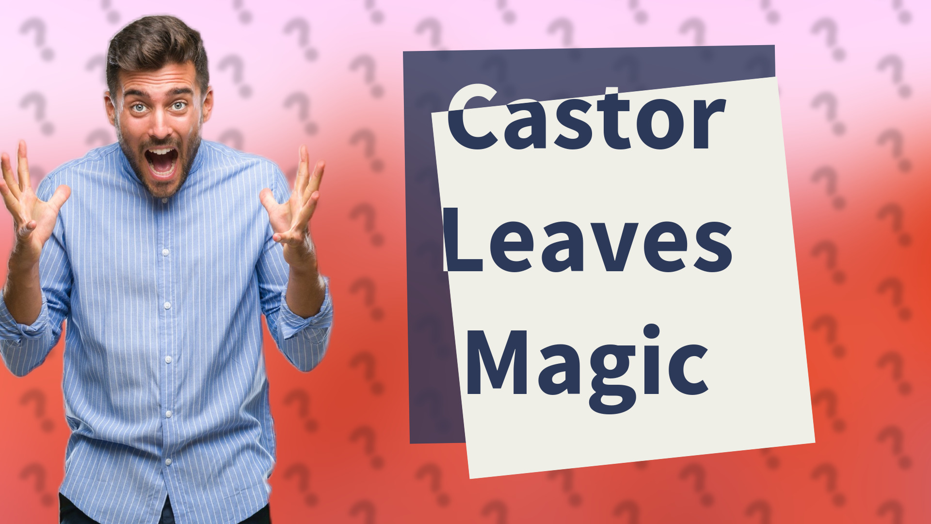 Castor Leaves Magic