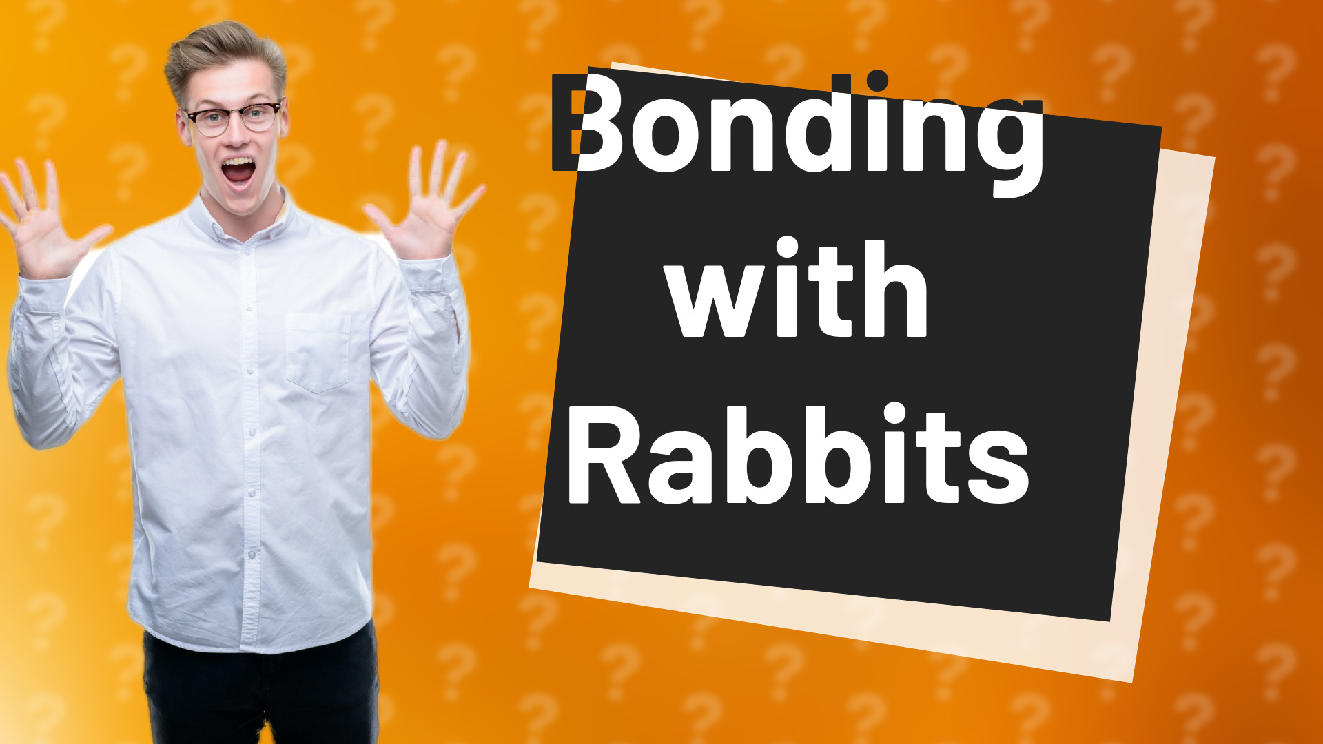 Bonding with Rabbits
