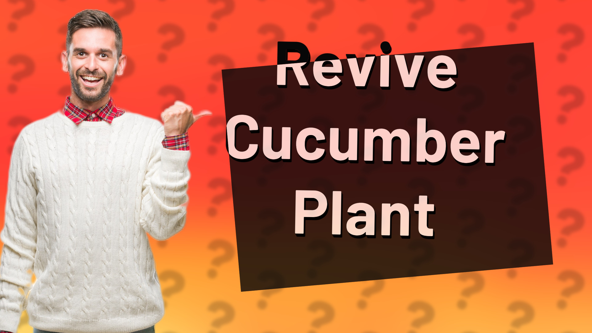 Revive Cucumber Plant