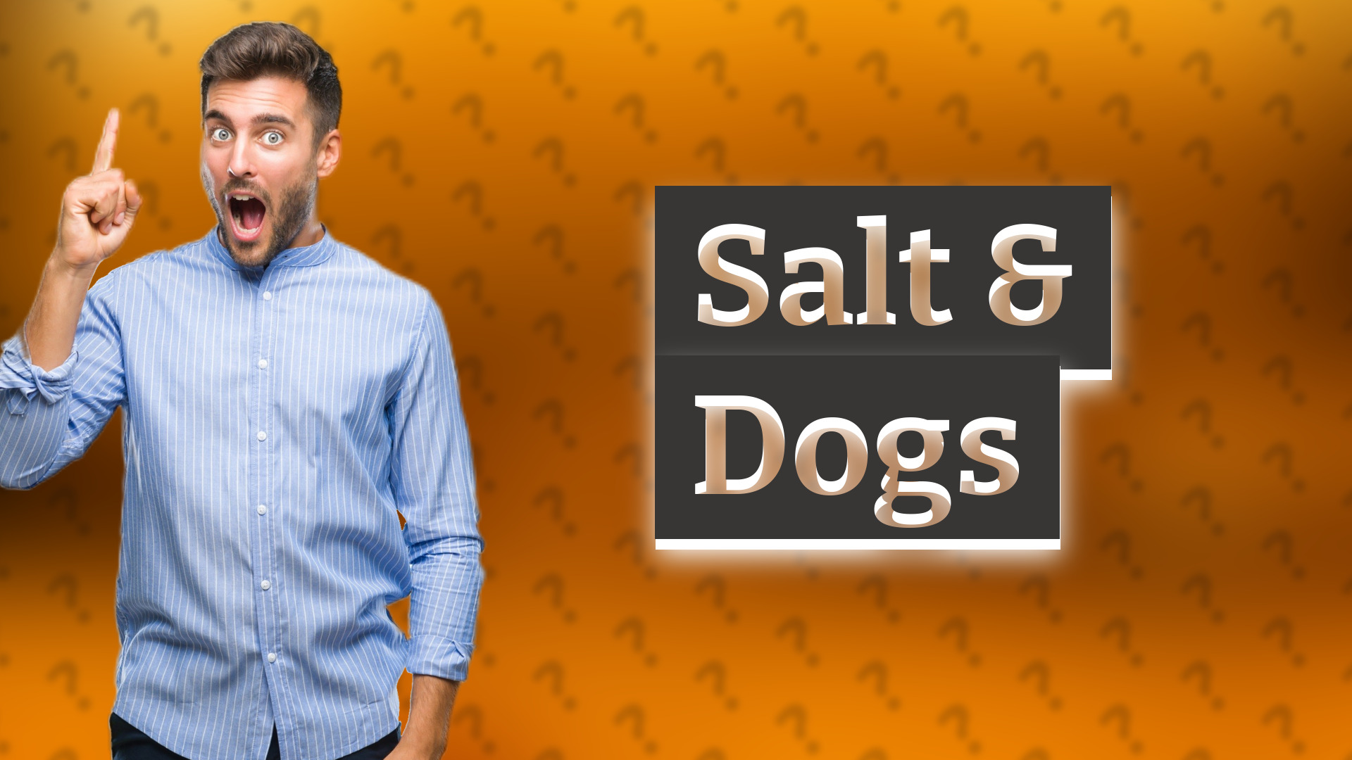 Salt & Dogs