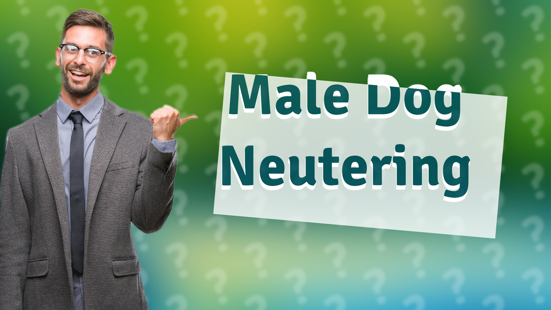Male Dog Neutering