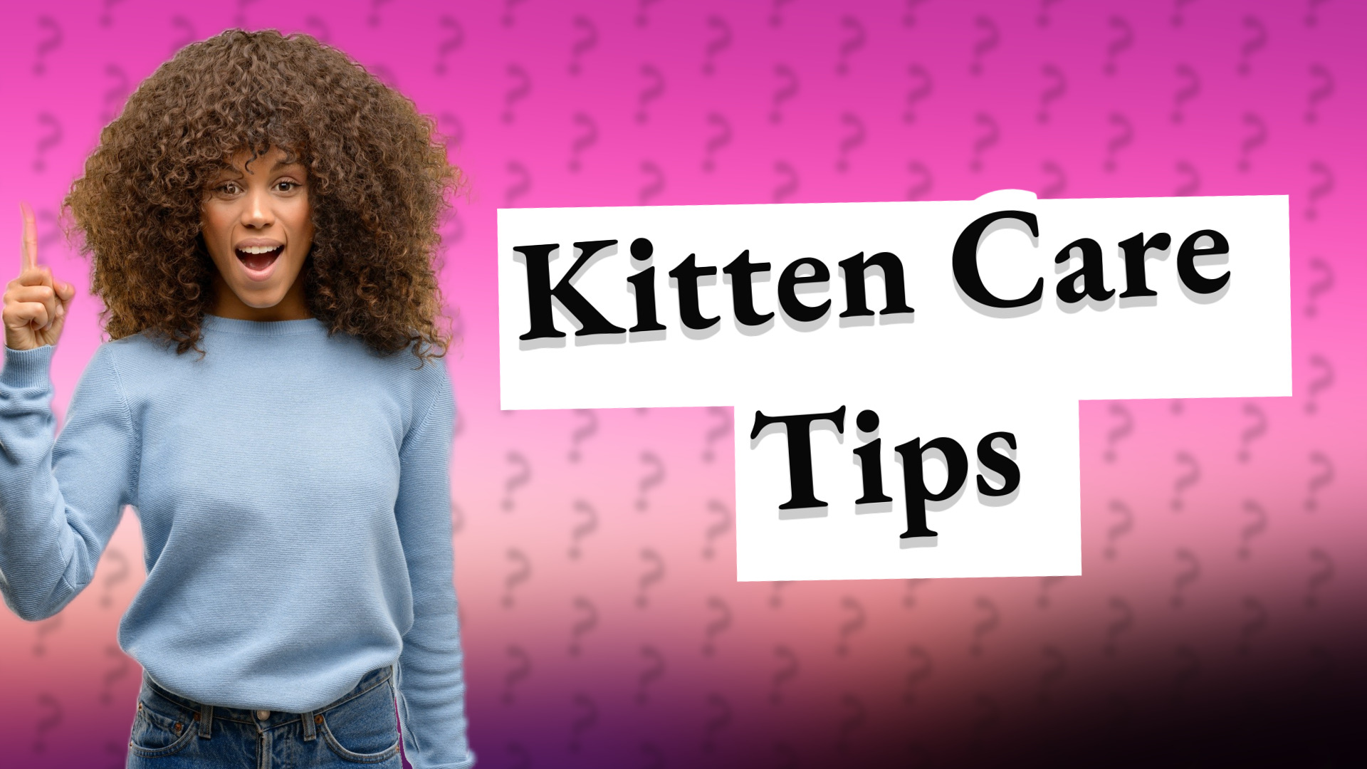 Kitten Care Tips