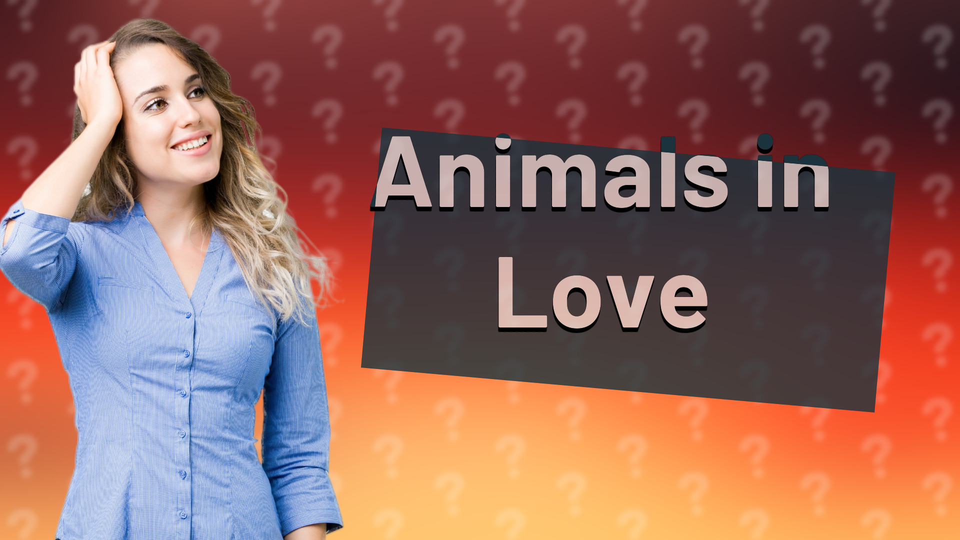 Animals in Love