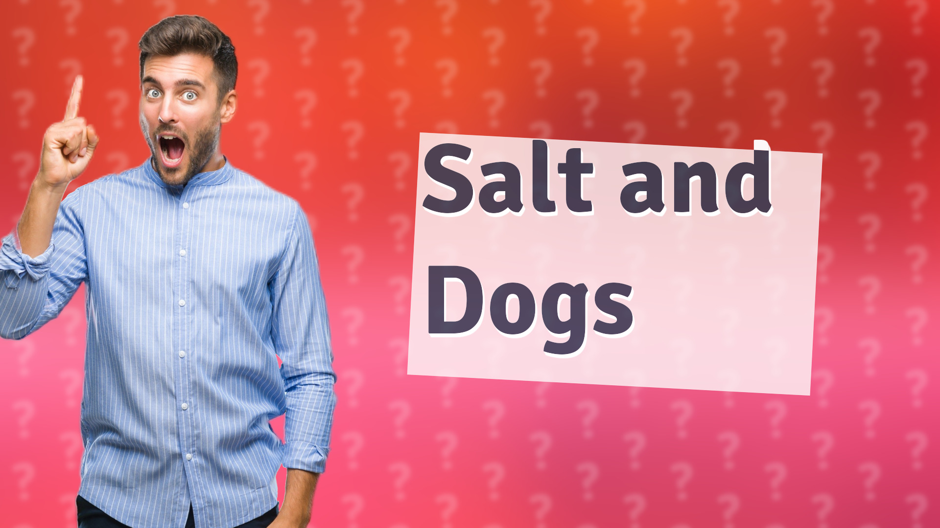 Salt and Dogs