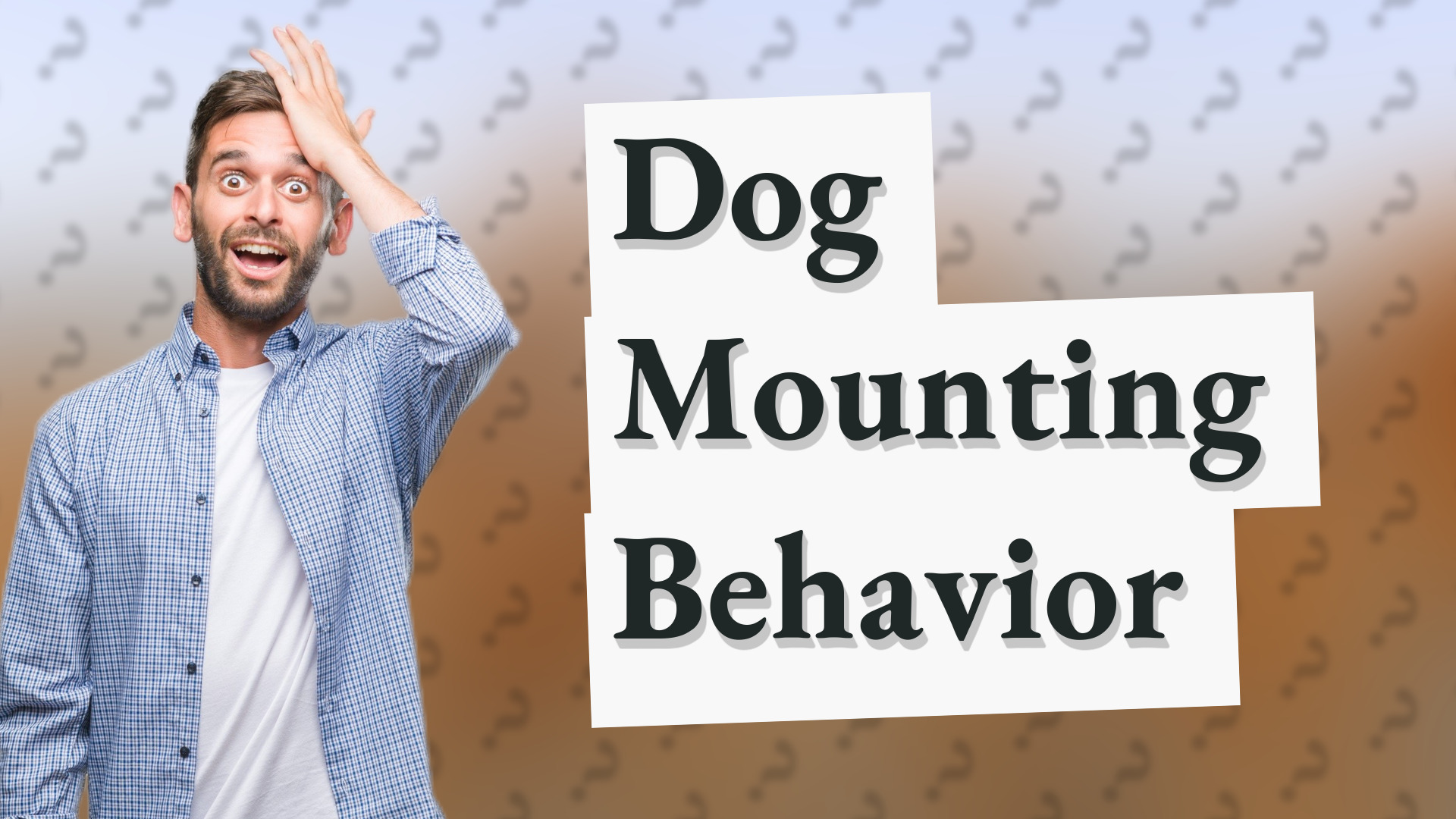Dog Mounting Behavior