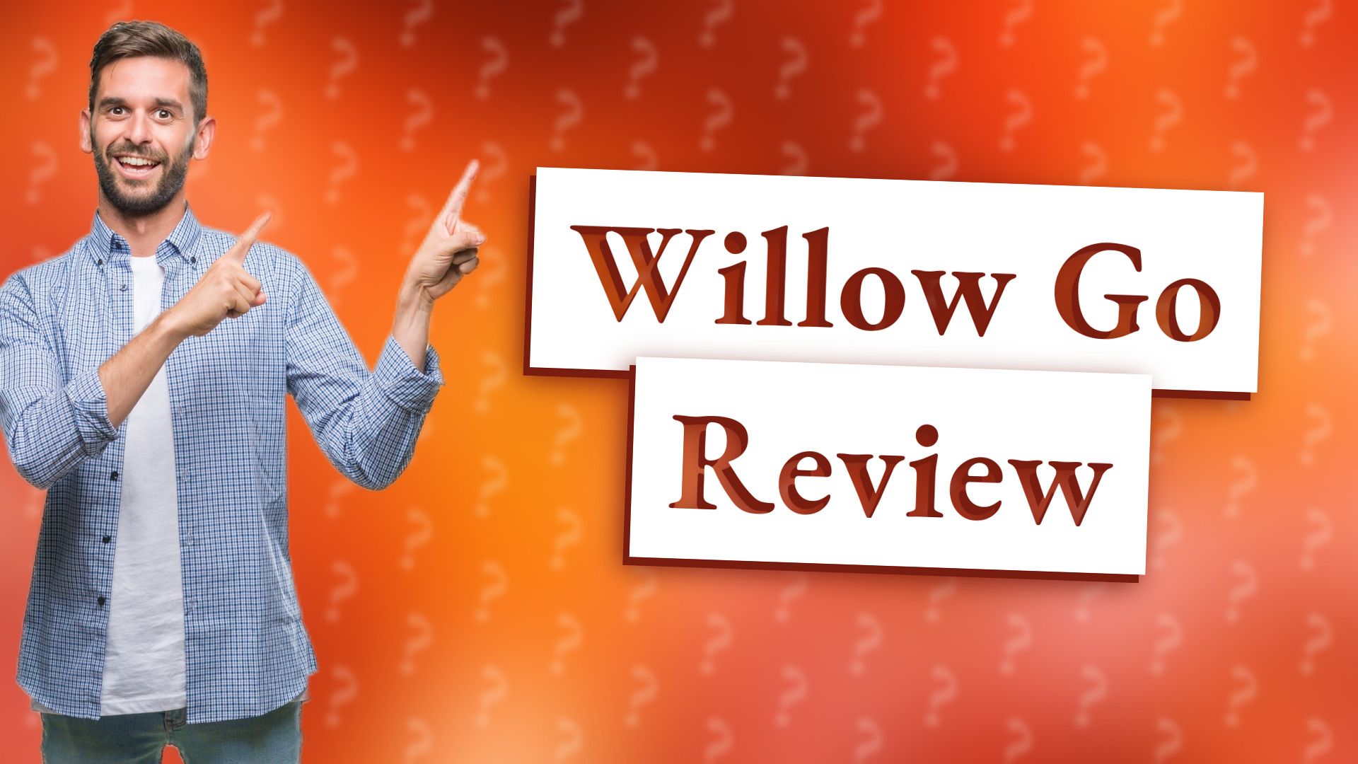 Willow Go Review