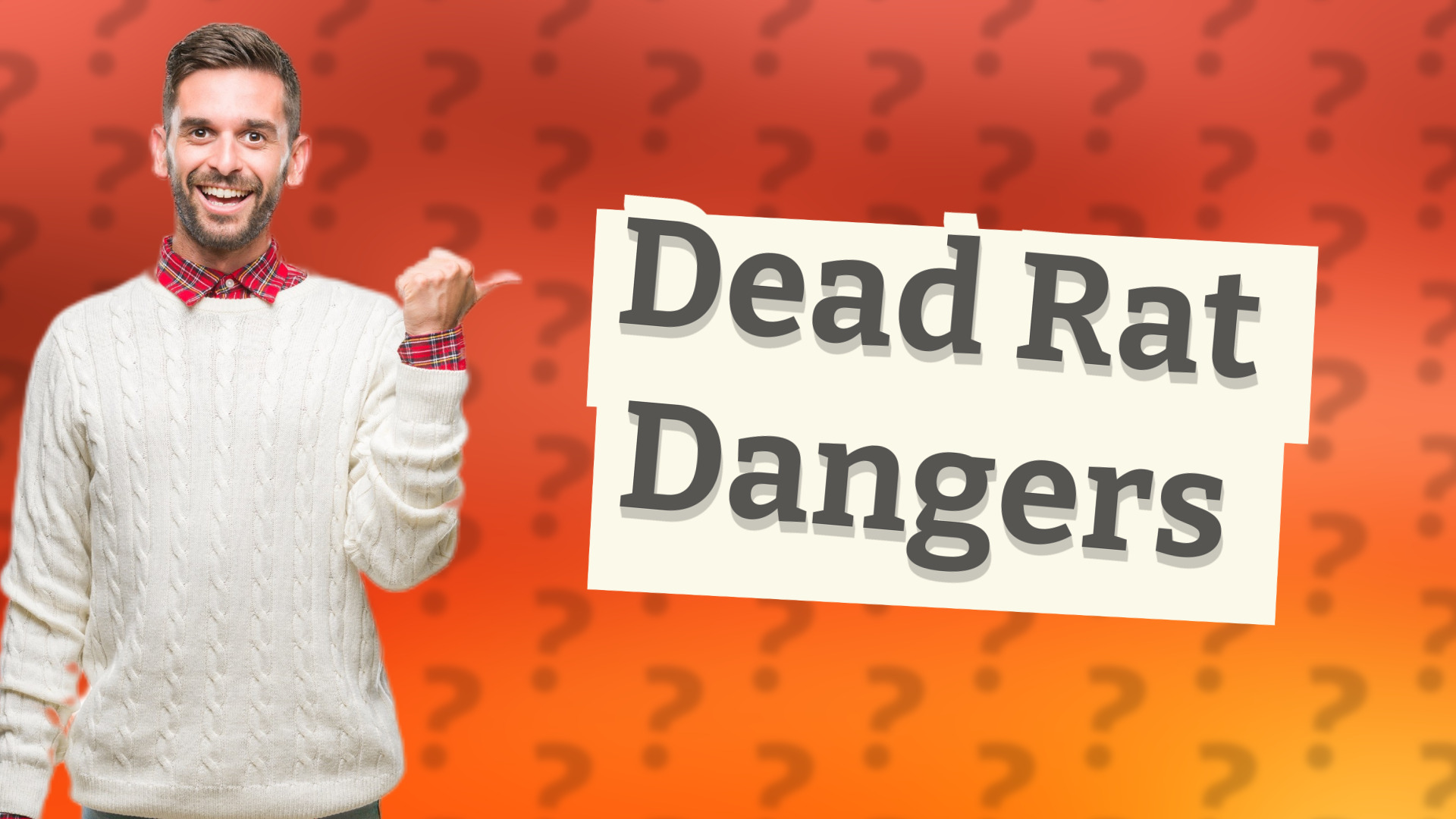 Dead Rat Dangers