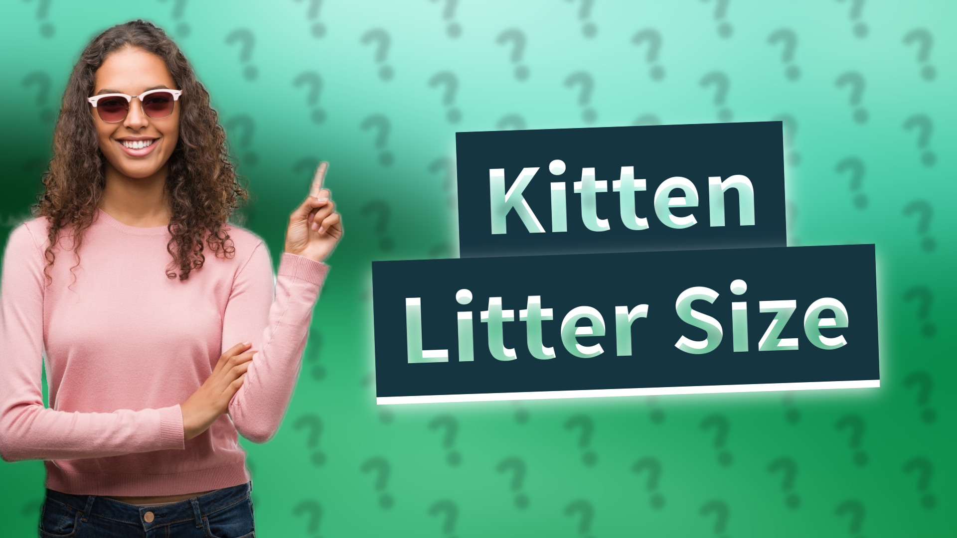 Kitten Litter Size