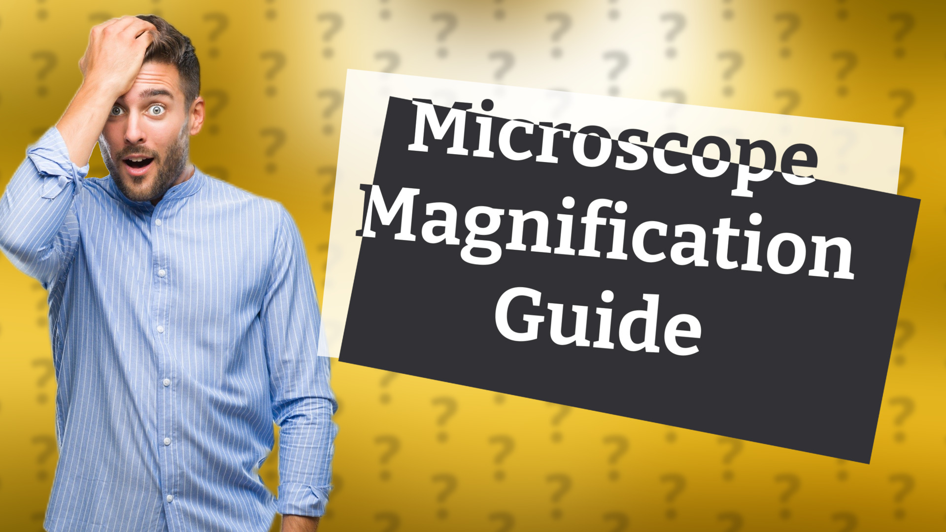 Microscope Magnification Guide