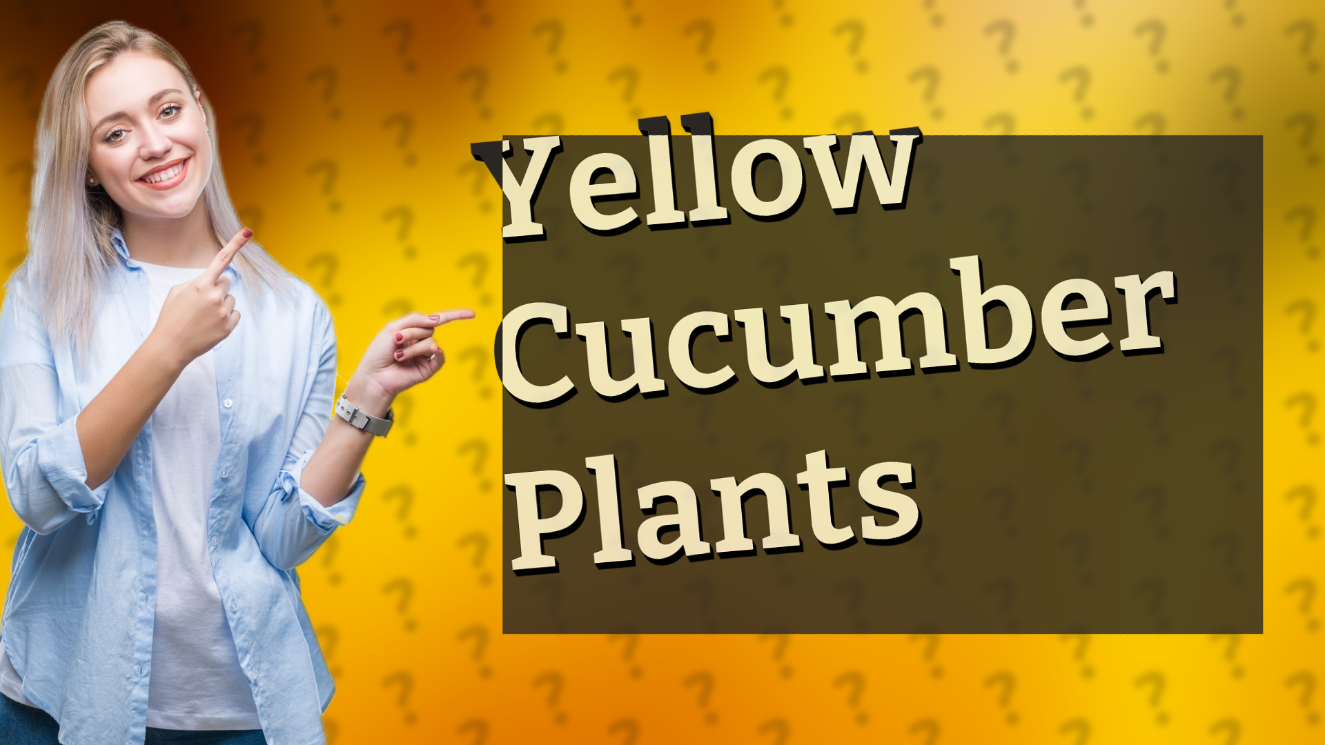 Yellow Cucumber Plants