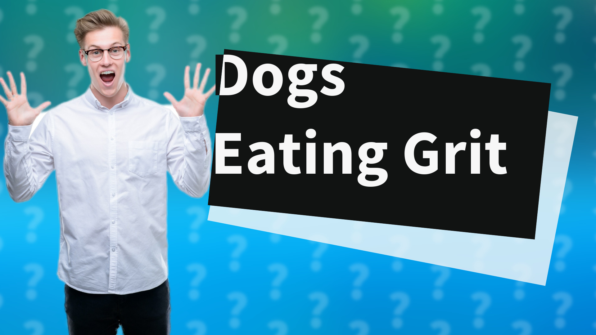 Dogs Eating Grit