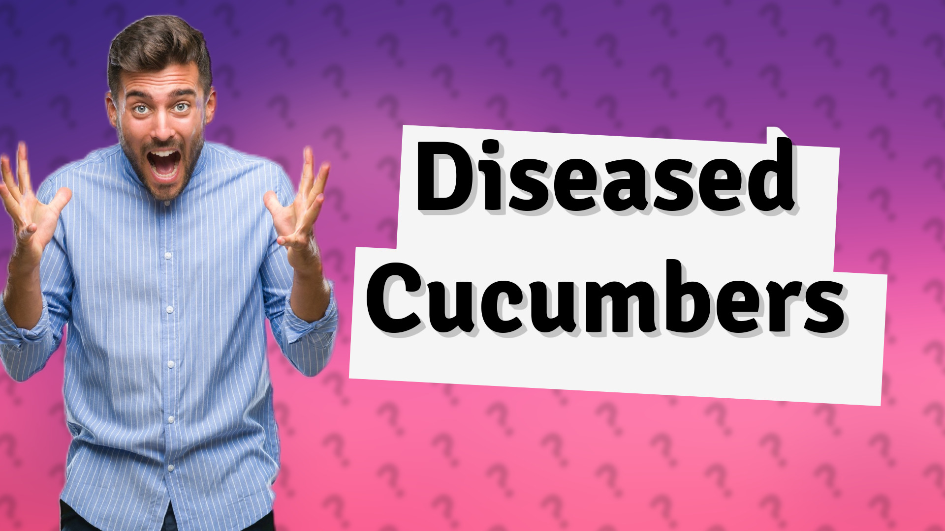 Diseased Cucumbers