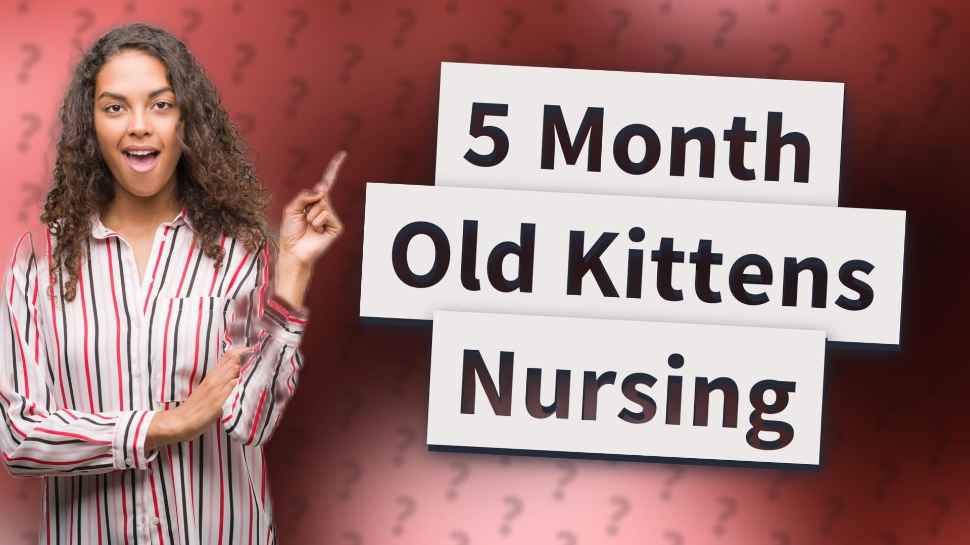 5 Month Old Kittens Nursing