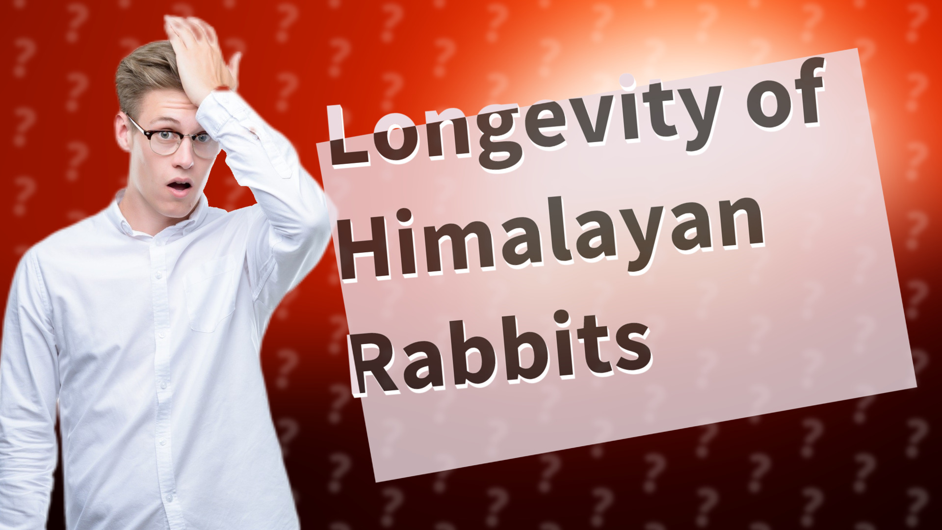 Longevity of Himalayan Rabbits
