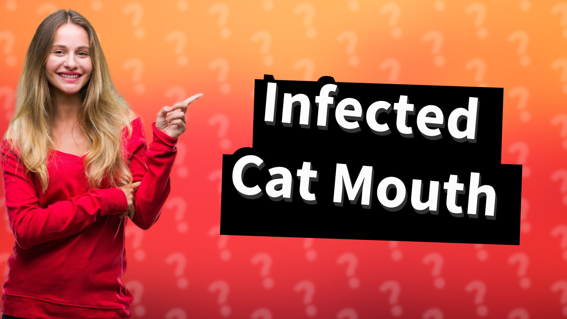 Infected Cat Mouth