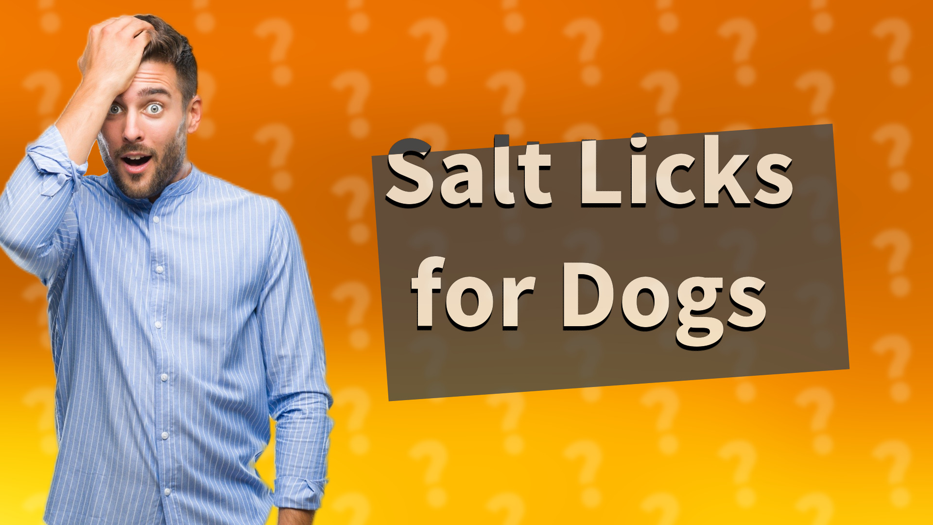 Salt Licks for Dogs