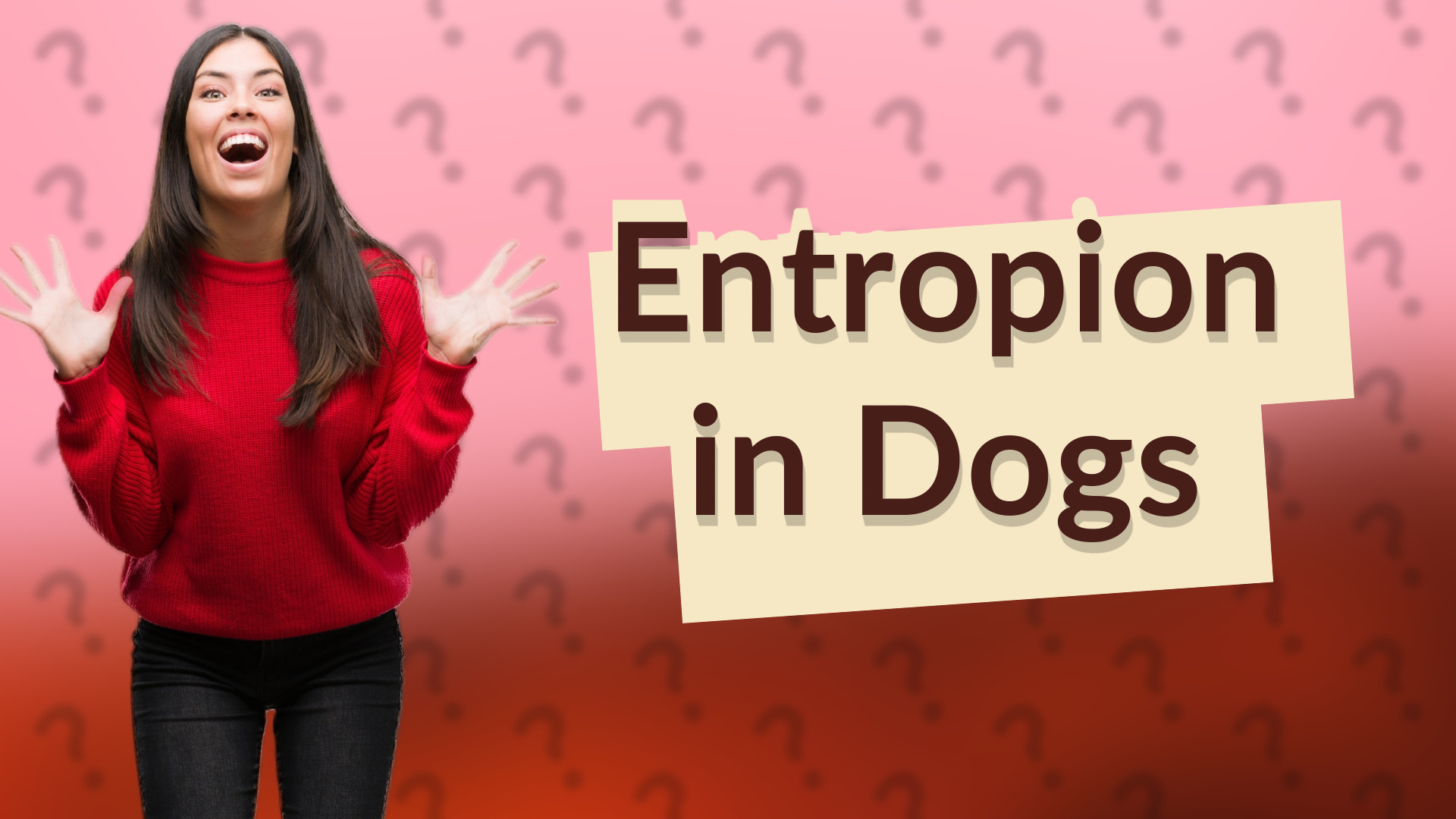 Entropion in Dogs