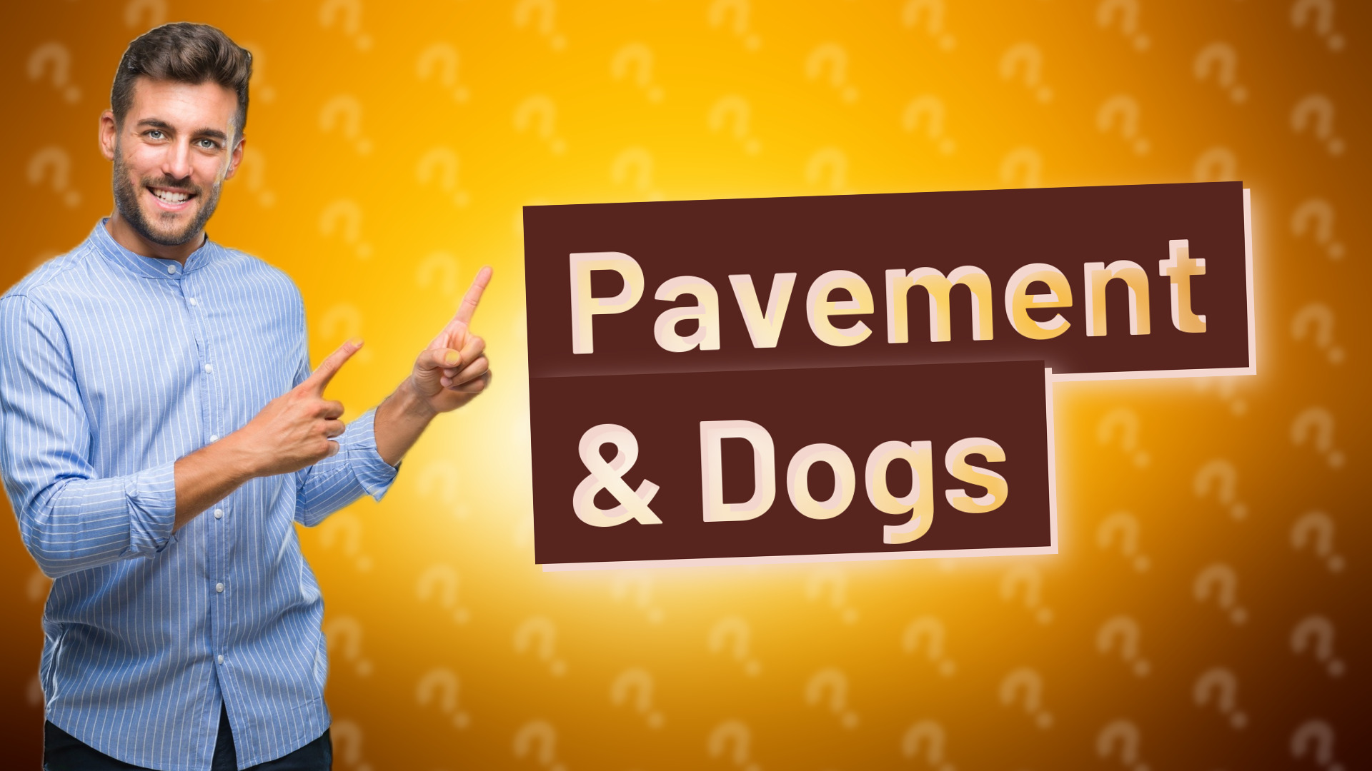Pavement & Dogs