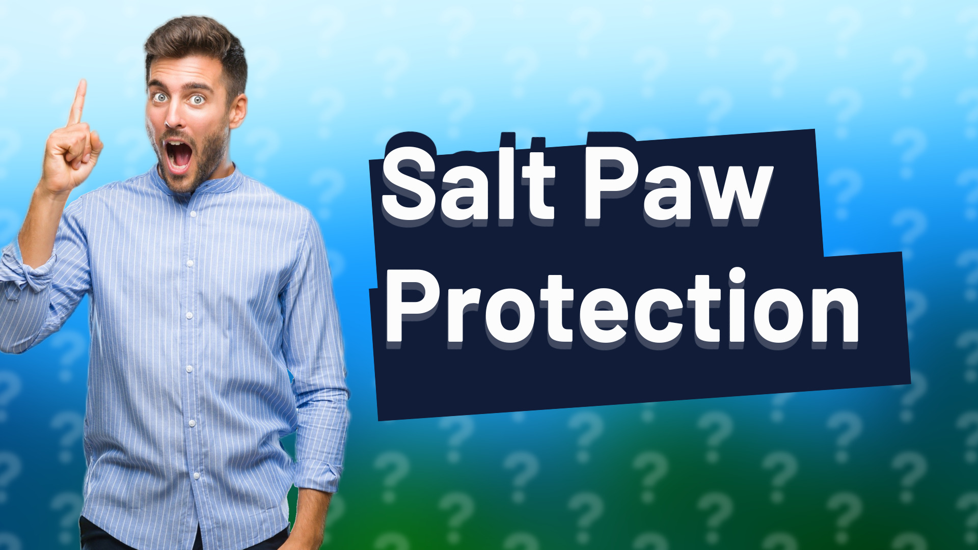 Salt Paw Protection