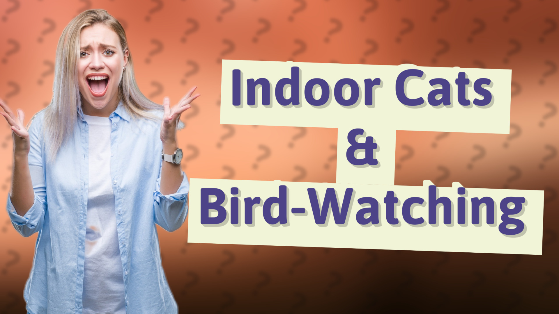 Indoor Cats & Bird-Watching